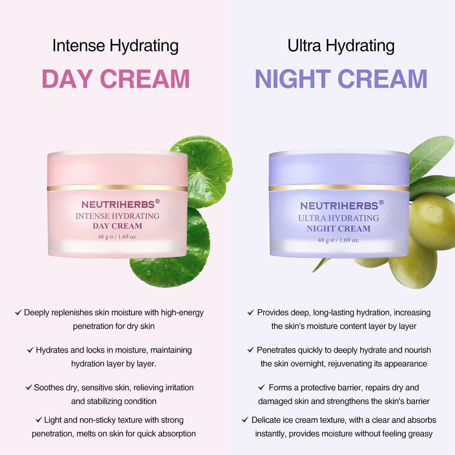 Private Label & Wholesale Face Intense Hydrating Night Cream