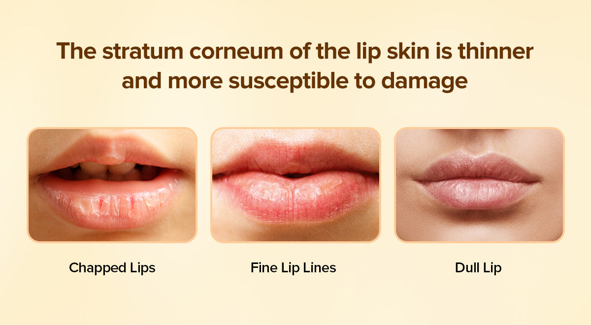 Private Label & Wholesale Vitamin C Lip Smooth Treatment Cream